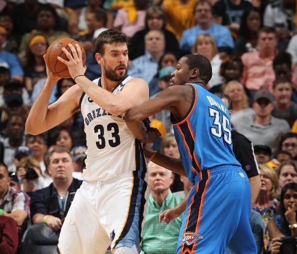 将天牛幼虫 将天牛幼虫